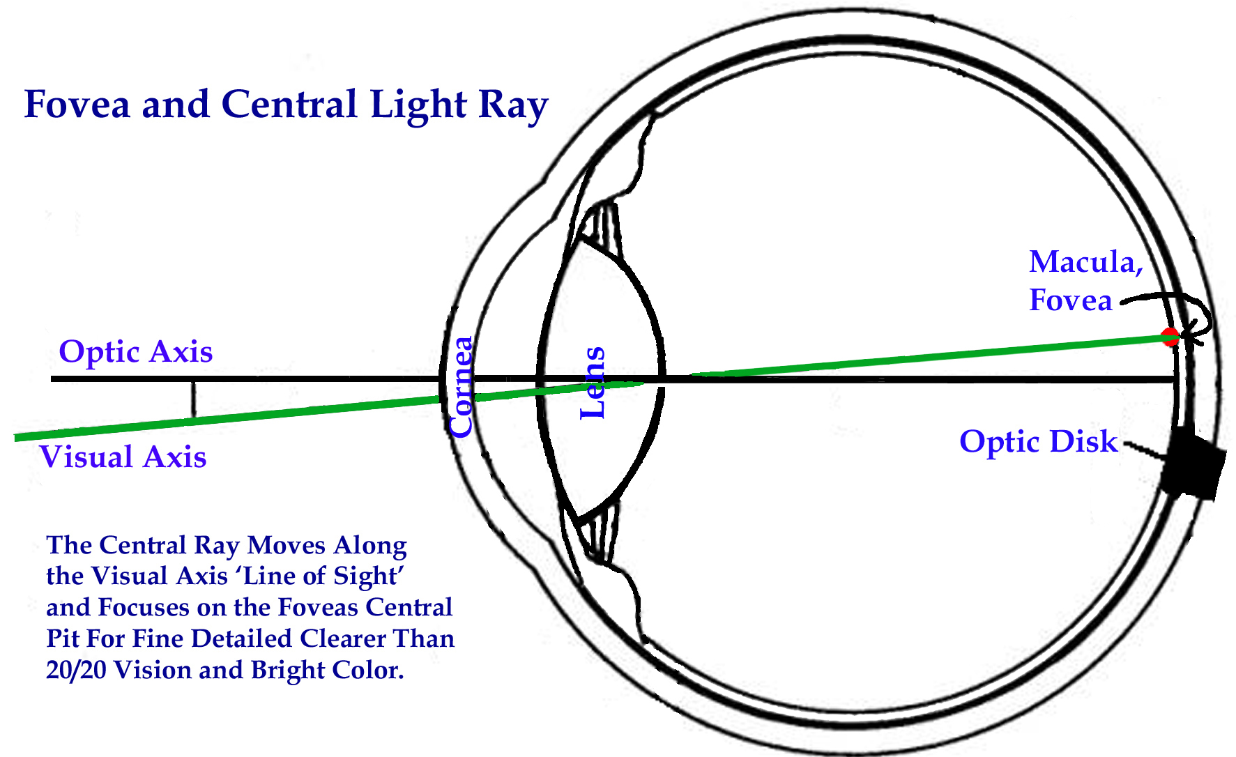 natural-eyesight-improvement-bates-method-free-do-it-yourself